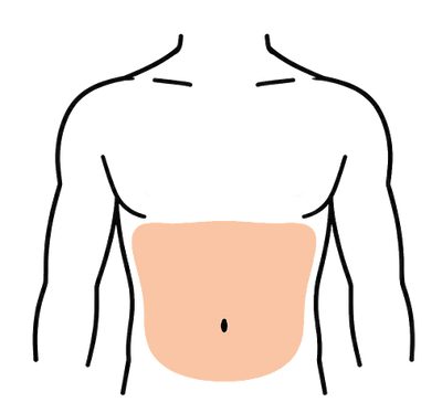 Abdomen
