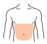 Torso
