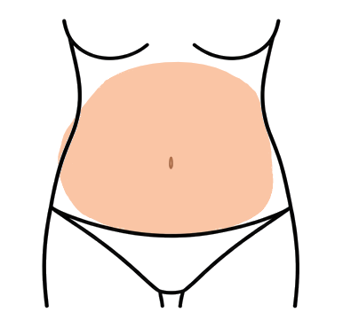 Abdomen f
